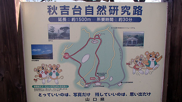 秋吉台自然研究路